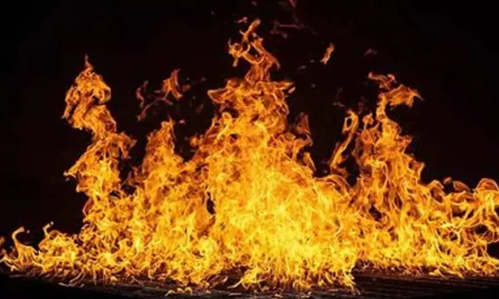 Gujarat Firecracker Explosion